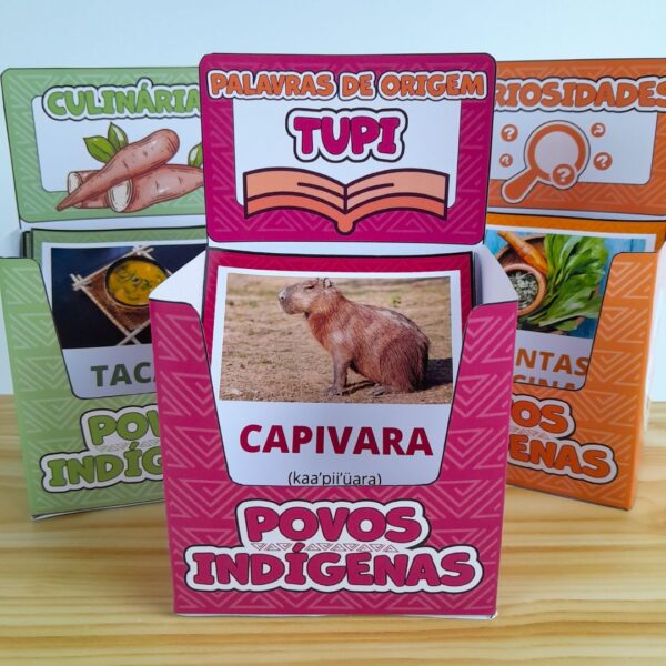 Povos Indígenas - Cartões Educativos - Image 4